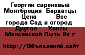 Георгин сиреневый. Монтбреция. Бархатцы.  › Цена ­ 100 - Все города Сад и огород » Другое   . Ханты-Мансийский,Пыть-Ях г.